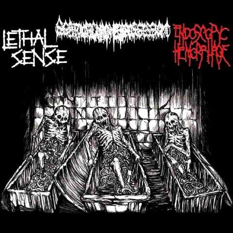 Scatologic M. Possession / Endoscopyc H. / Lethal Sense